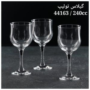 گیلاس تولیپ
